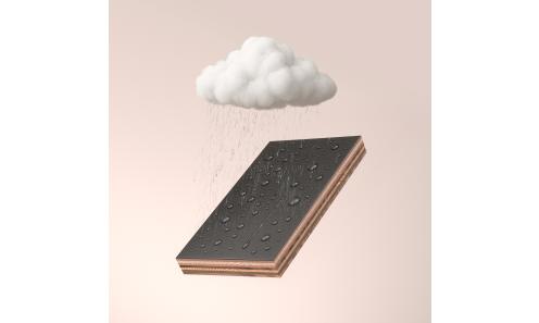 Roofregenwolk